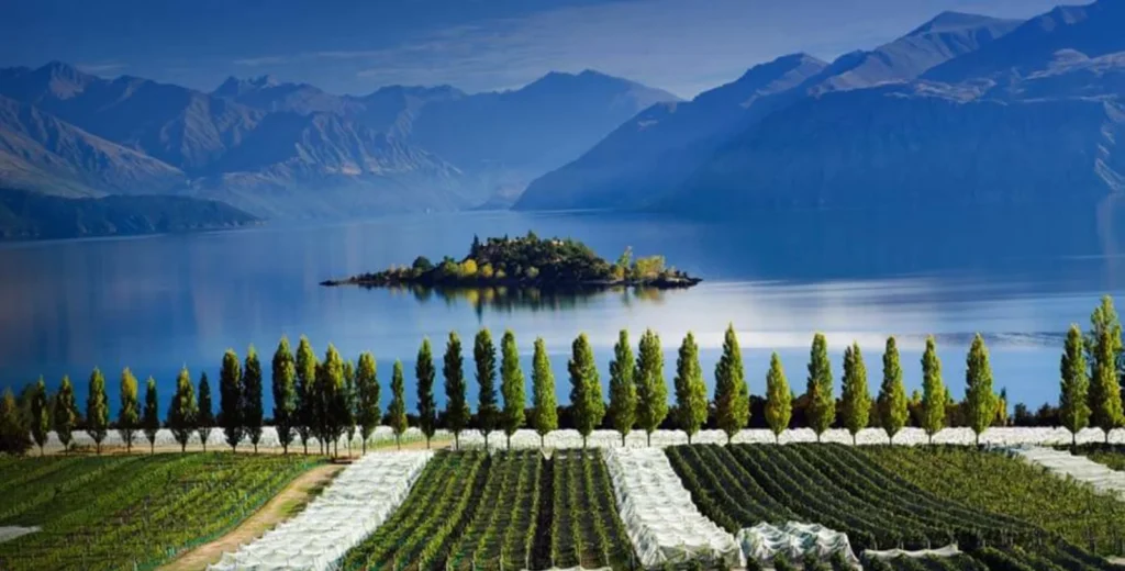 Central Otago Wine Tour